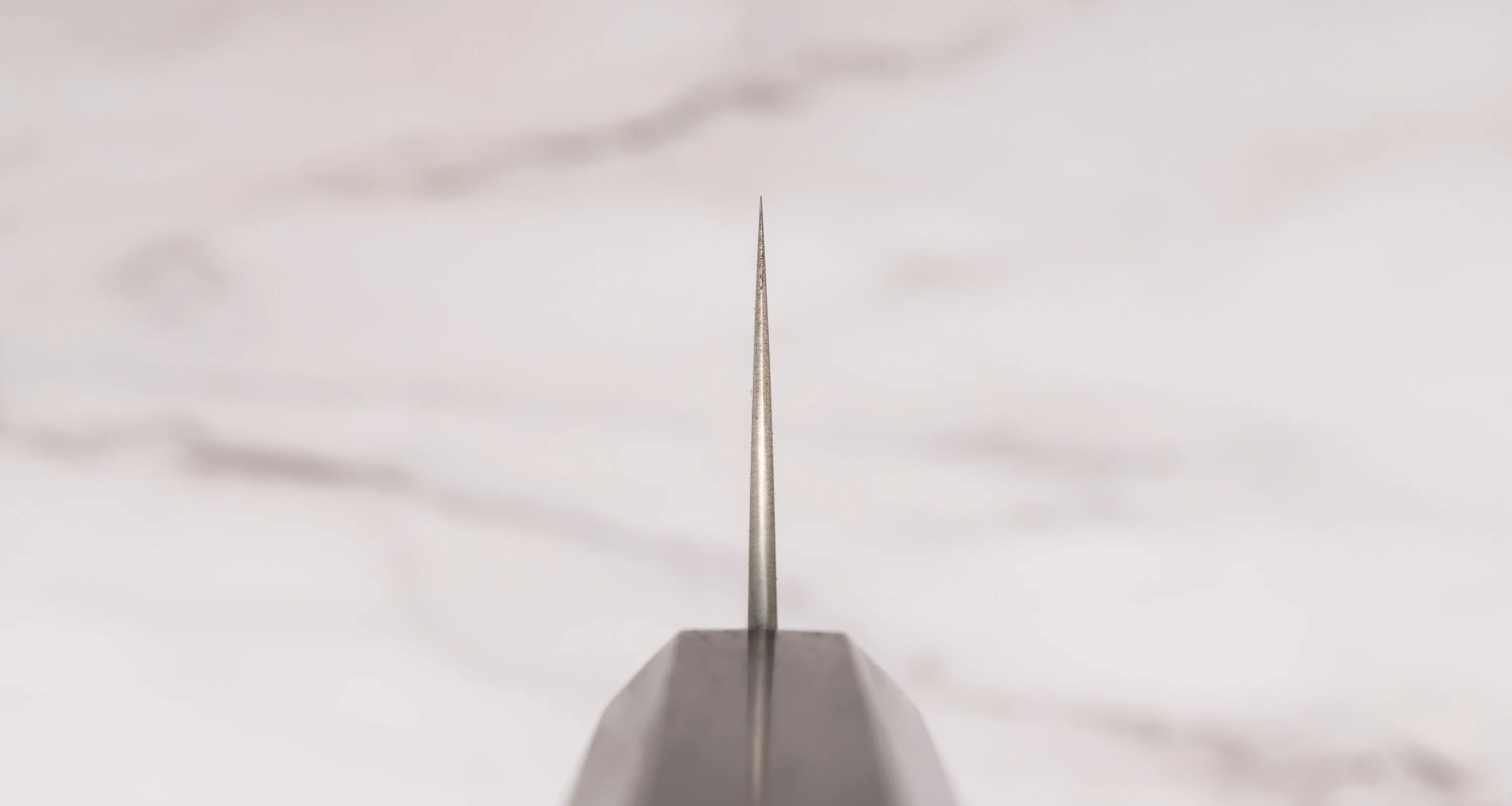 Hayabusa Gyuto Aogami Super Ebony 210 mm (8.3") - Image 3