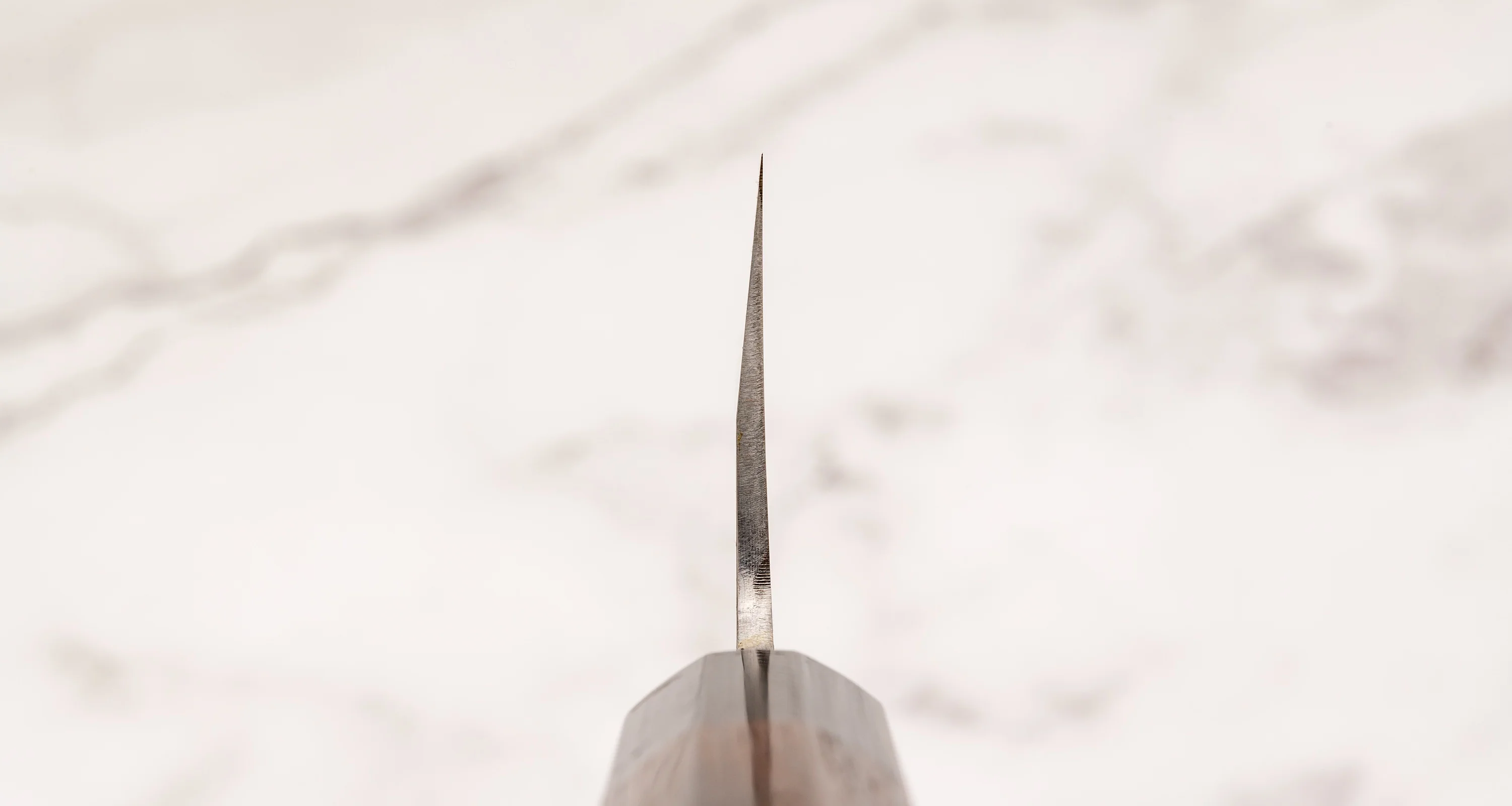 Kawamura Sakimaru-Gyuto Aogami #2 Damascus 220mm (8.7") [rosewood] - Image 3