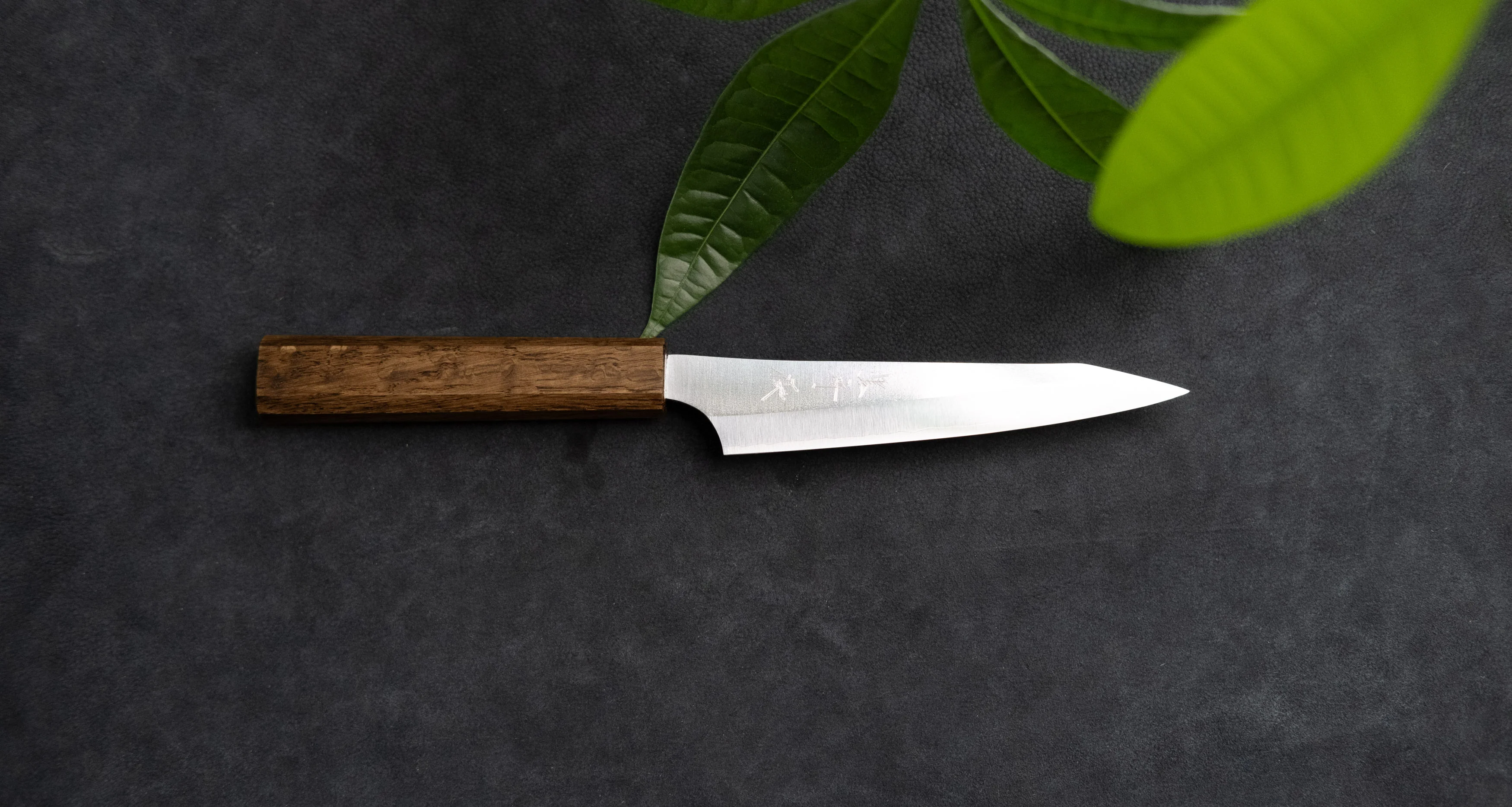 Yu Kurosaki Petty Gekko VG-XEOS Migaki 130mm (5.1") - Image 4