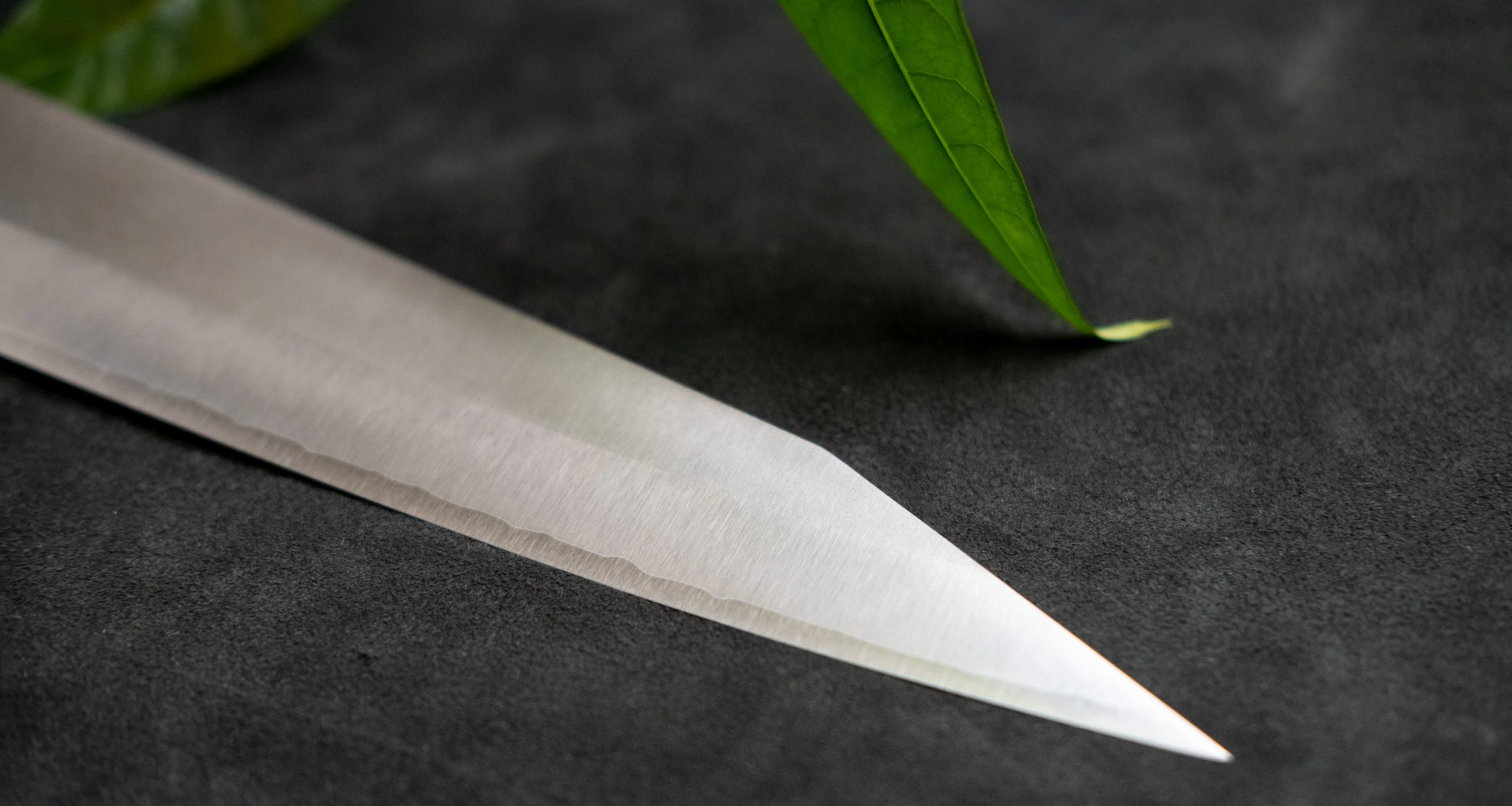 Yu Kurosaki Sujihiki Gekko VG-XEOS Migaki 240mm (9.4”) - Image 5