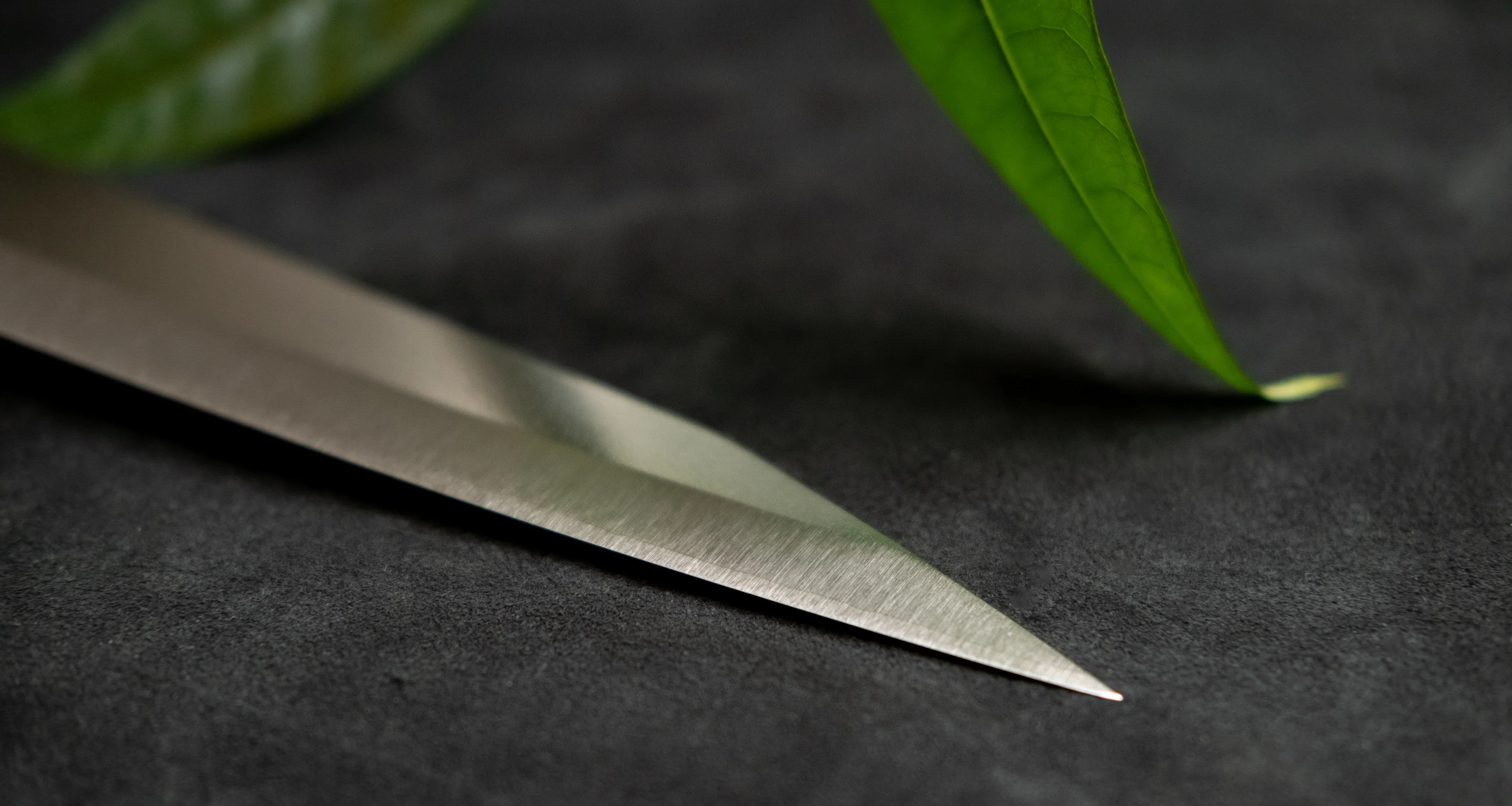 Yu Kurosaki Sujihiki Gekko VG-XEOS Migaki 270mm (10.6”) - Image 5