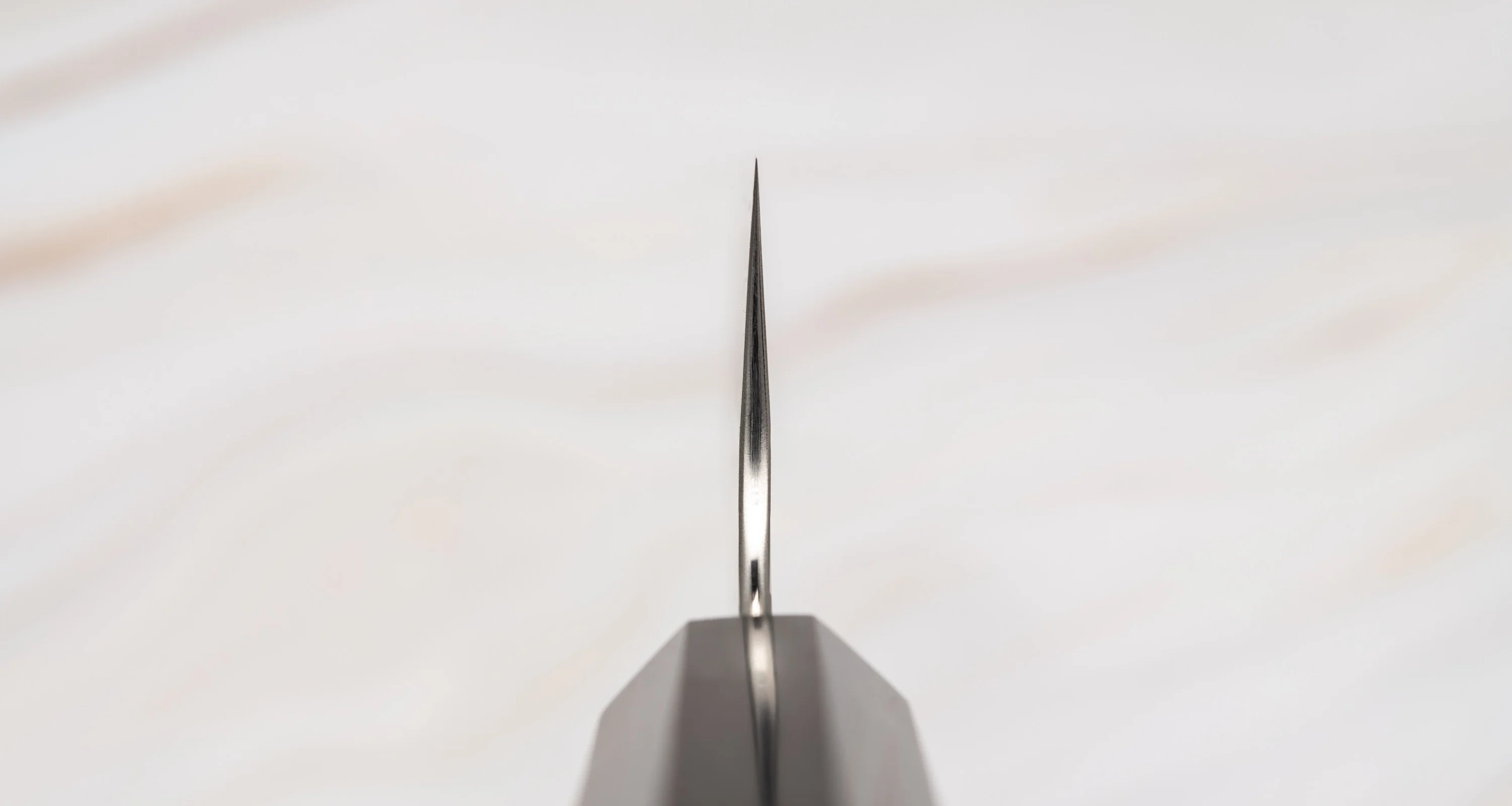 Nigara Gyuto SG2 Migaki Tsuchime 240mm (9.4") [Ebony] - Image 3
