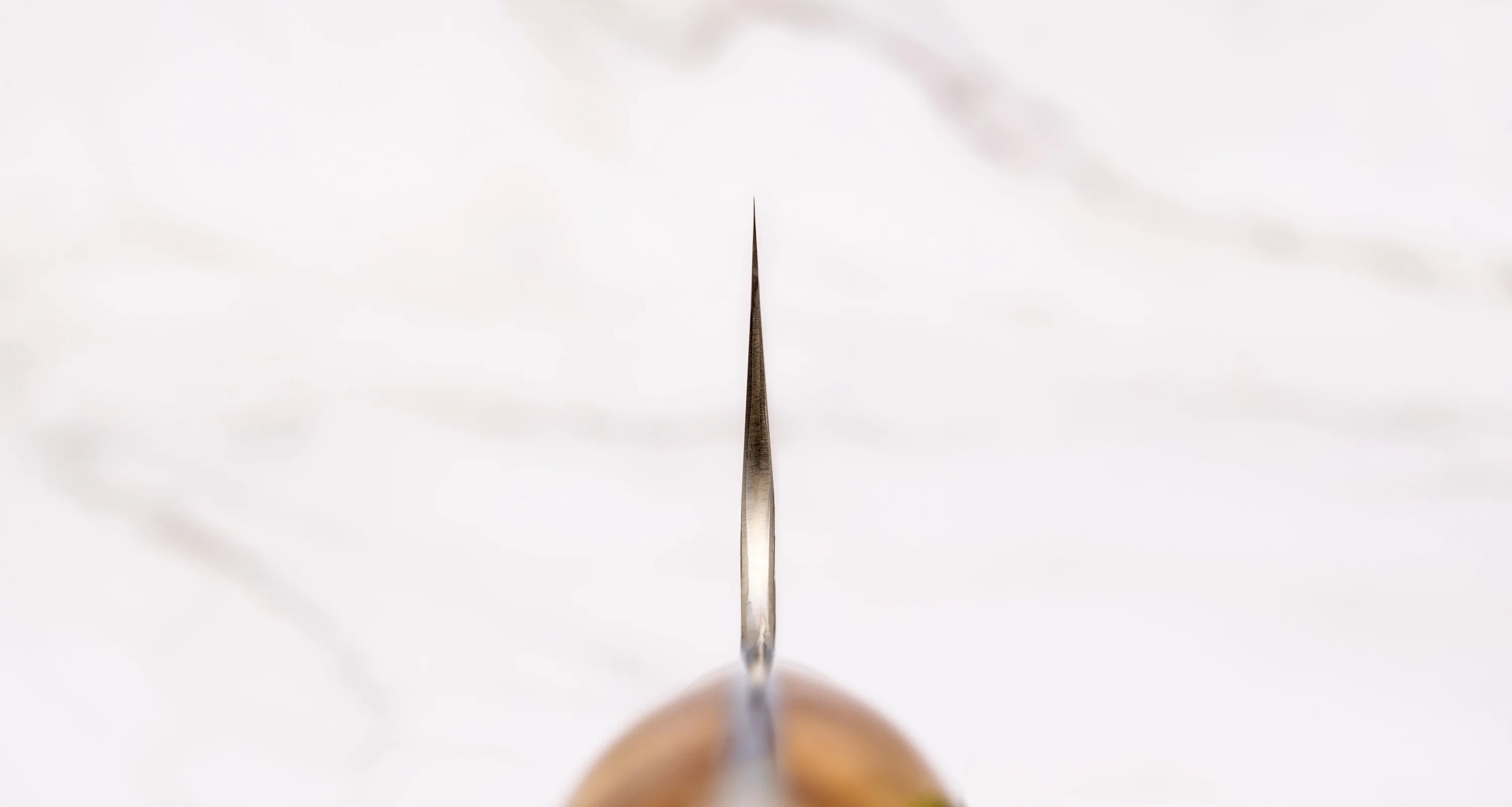 Nigara Kiritsuke-Gyuto SG2 Tsuchime Maplewood 210mm (8.3") - Image 3