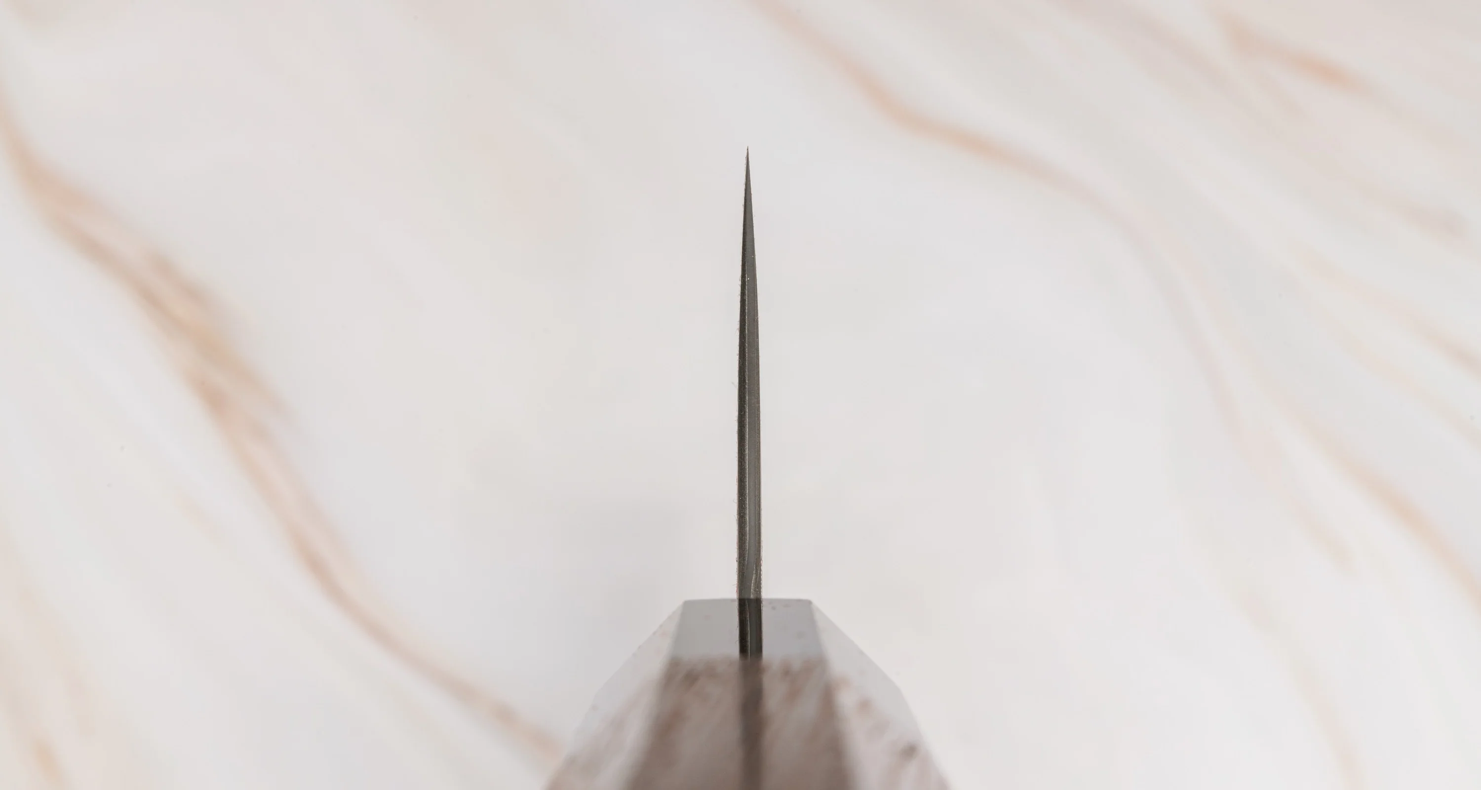 Nigara Kiritsuke SG2 Damascus 240mm (9.4") - Image 3