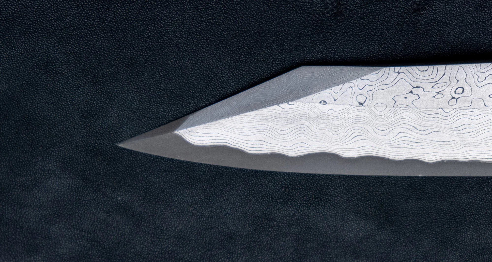 Nigara Kurozome Kiritsuke Yanagiba Aogami #2 Damascus 240mm (9.4") - Image 8