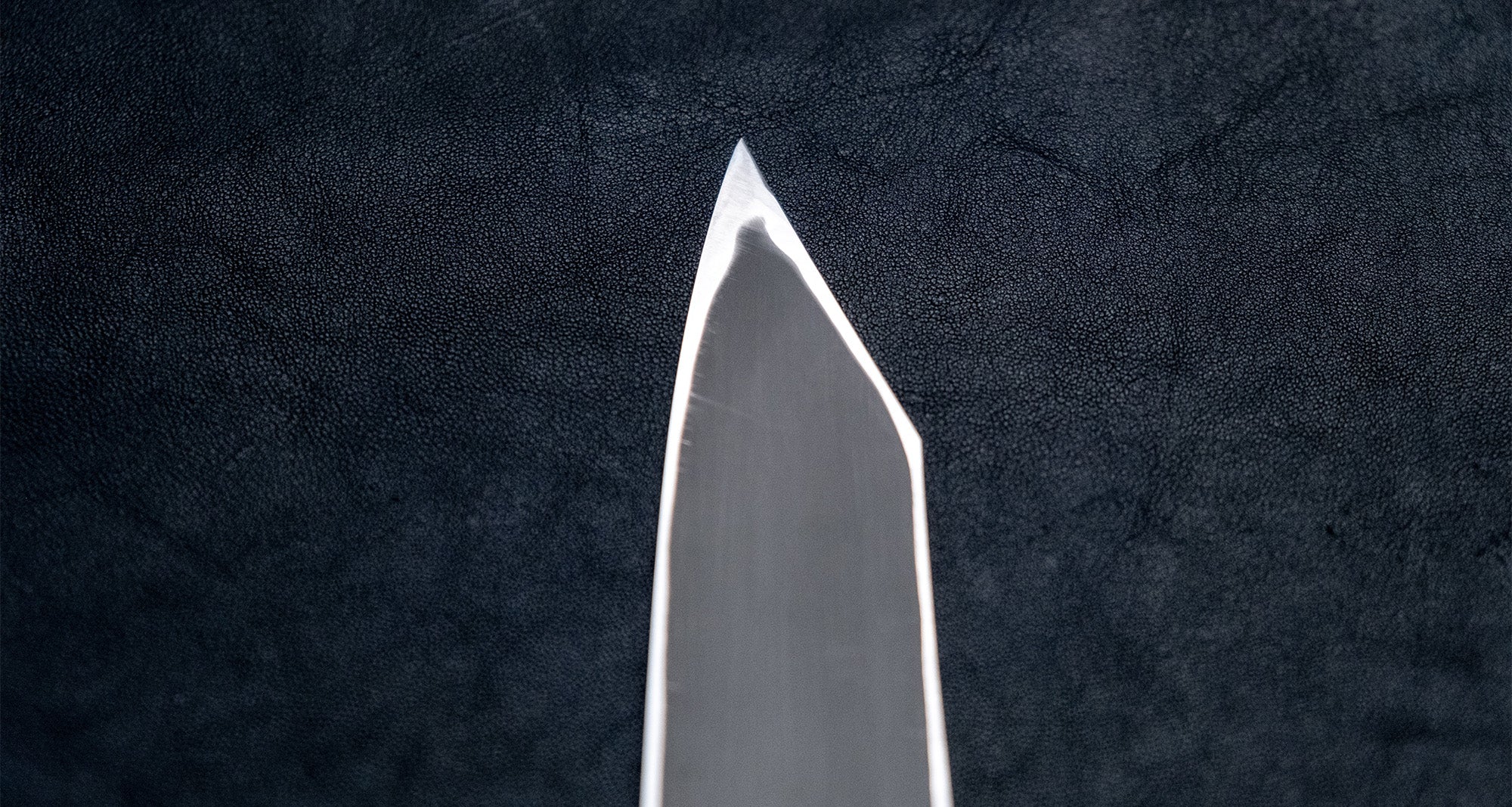 Nigara Kurozome Kiritsuke Yanagiba Aogami #2 Damascus 240mm (9.4") - Image 9