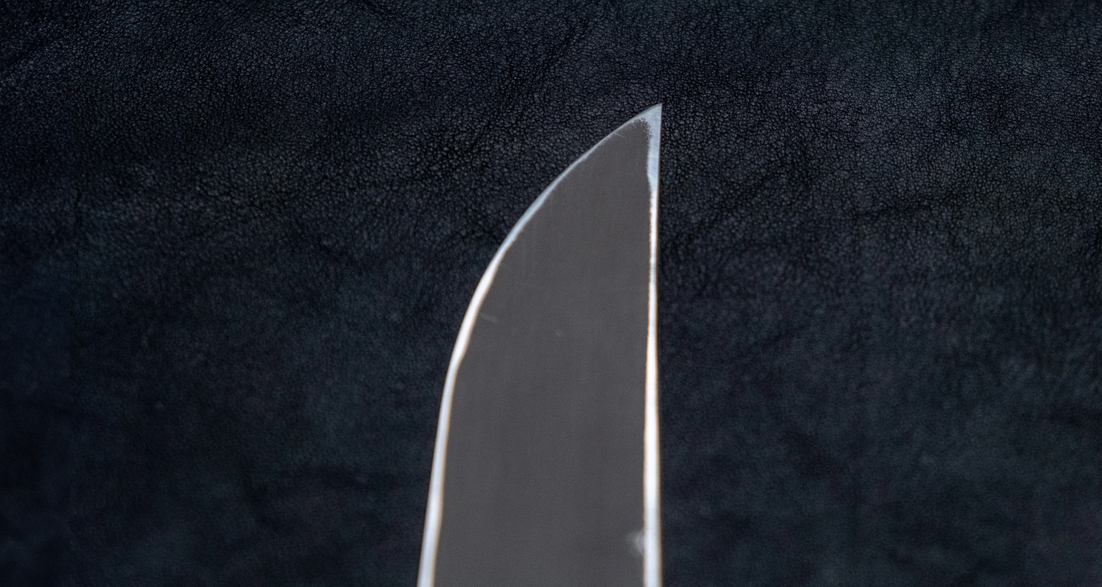 Nigara Kurozome Sakimaru Yanagiba Aogami #2 Damascus 270mm (10.6") - Image 9