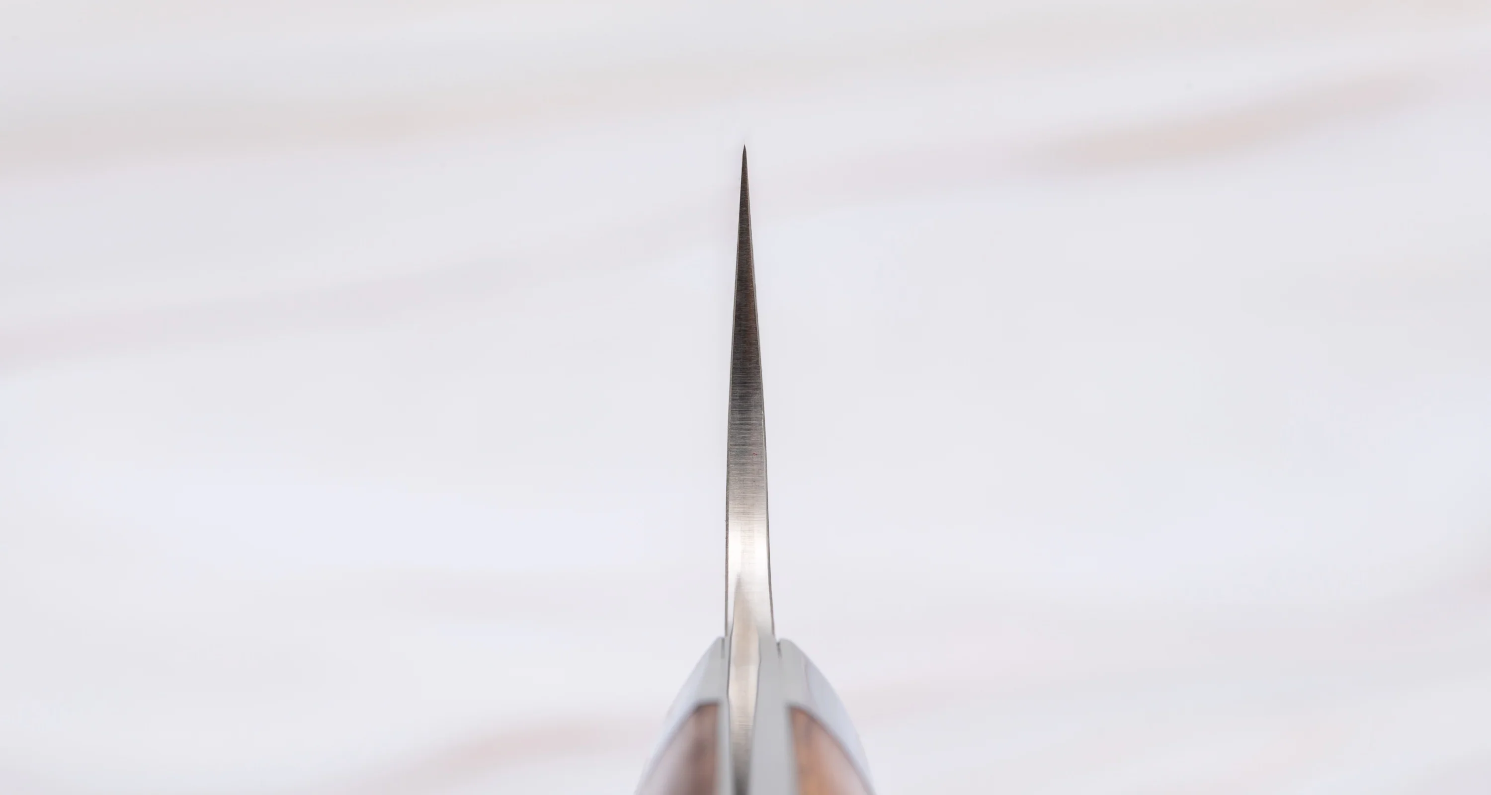 Saji Gyuto R2 Ironwood 210mm (8.3") - Image 3