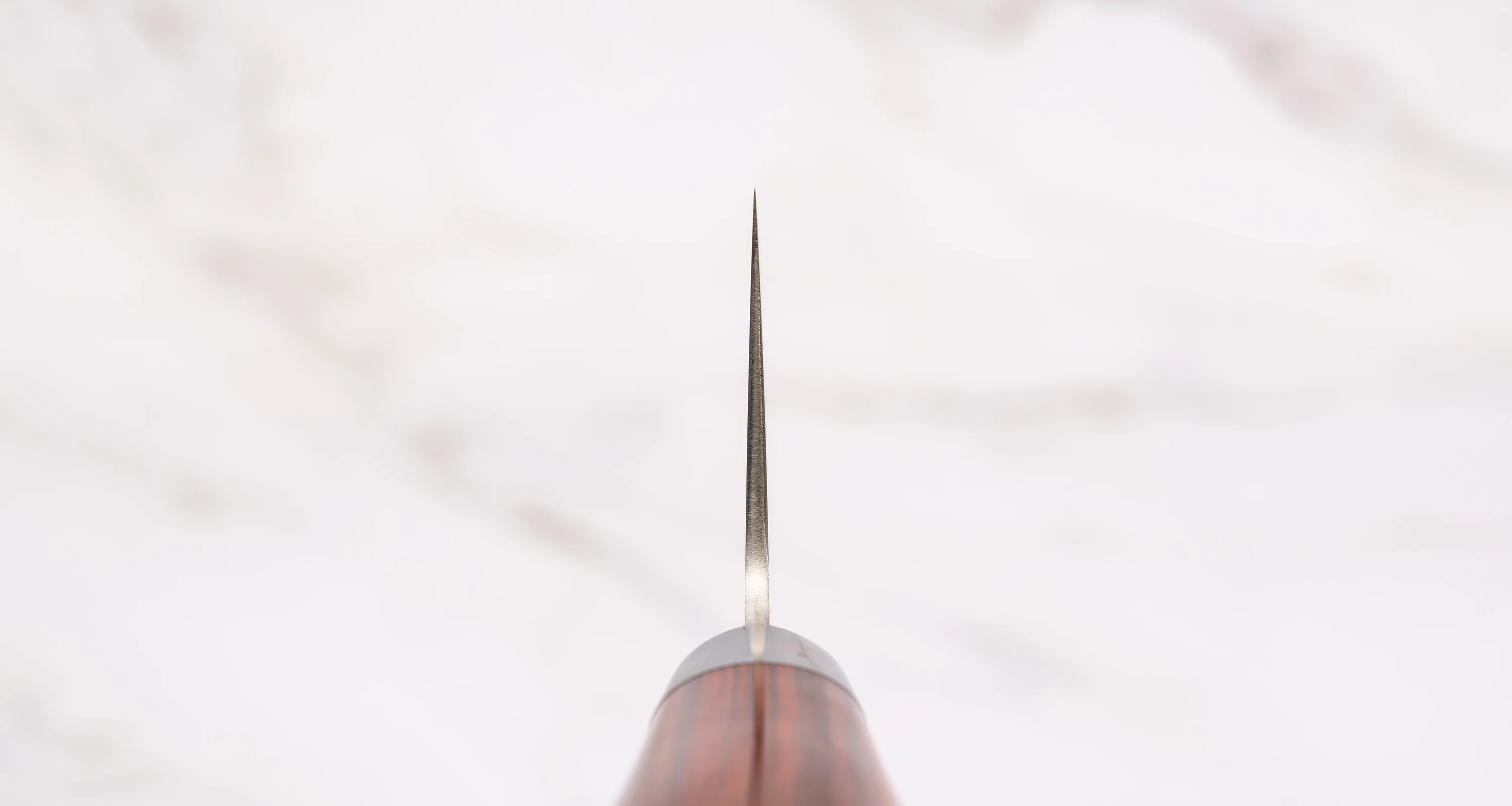 Takamura Gyuto Migaki SG2 210mm (8.3") - Image 3