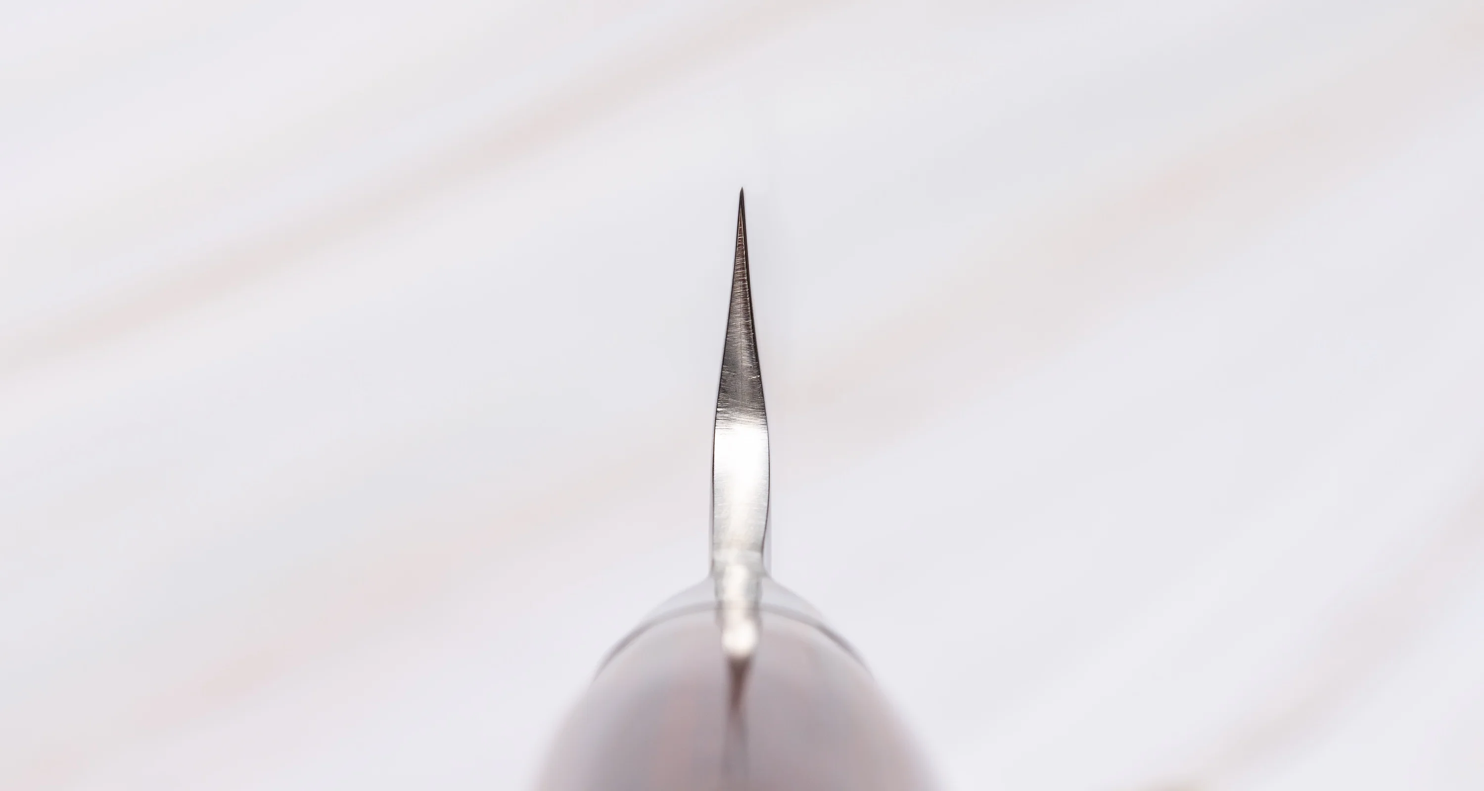 Tamahagane "TSUBAME" Sashimi-Slicer 210mm - Image 3