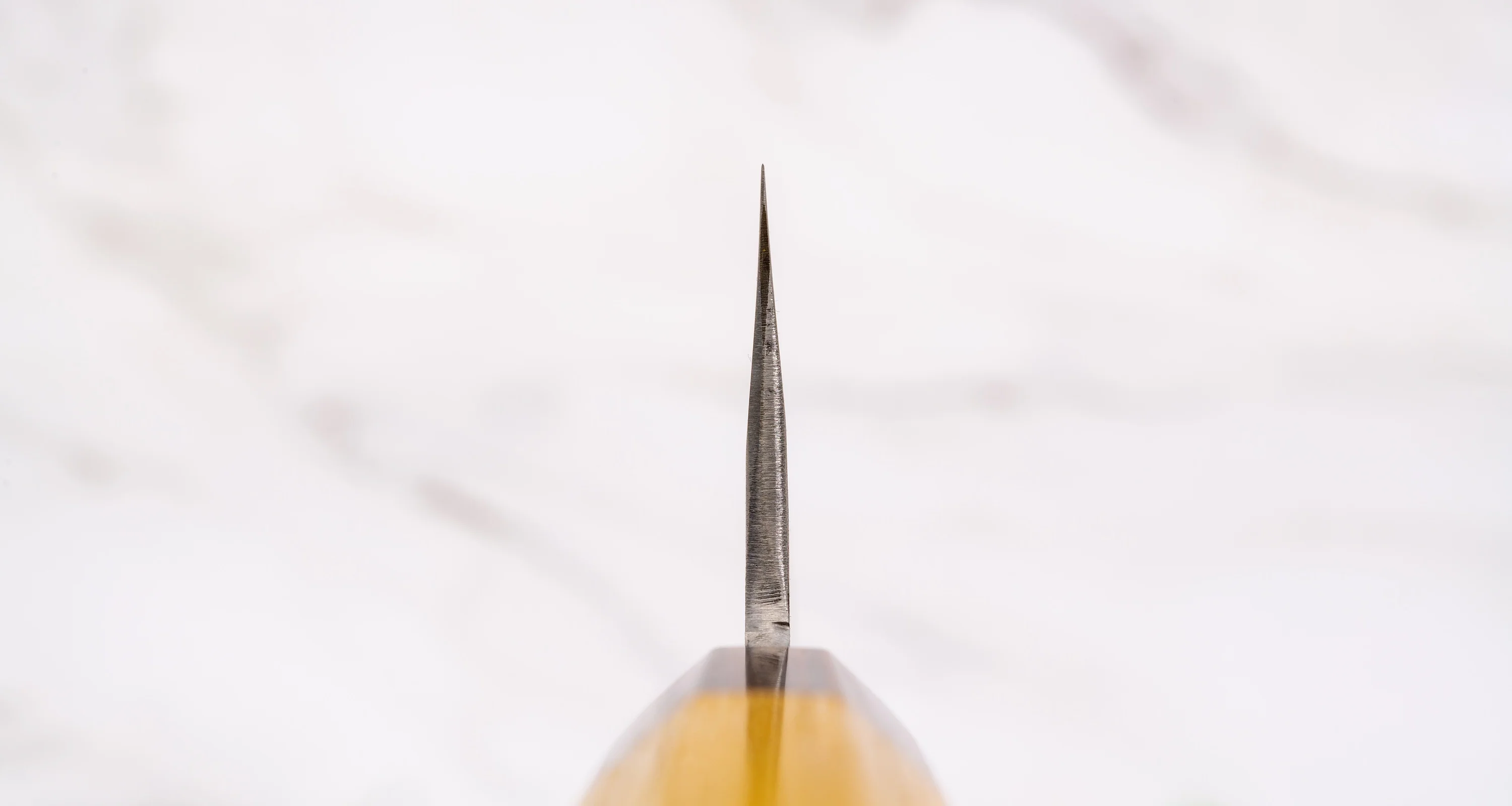 Tanaka Gyuto Aogami #2 Keyaki 180mm (7.1") - Image 3