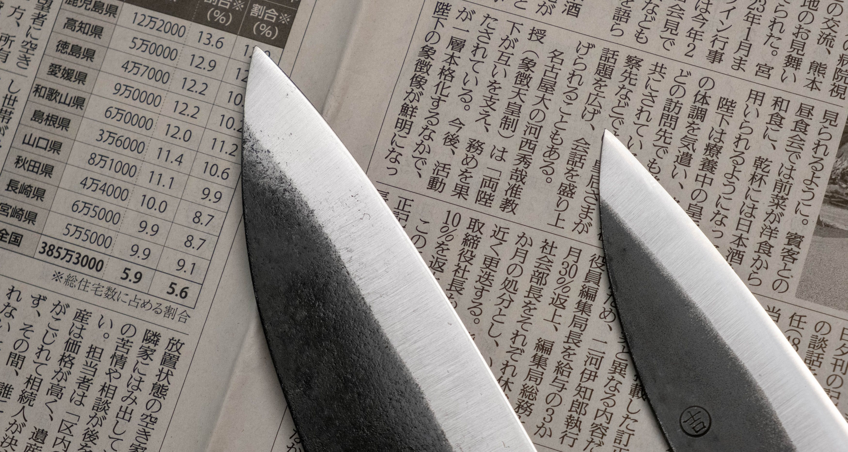 The Carbons [Funayuki & Ajikiri SET] - Image 5