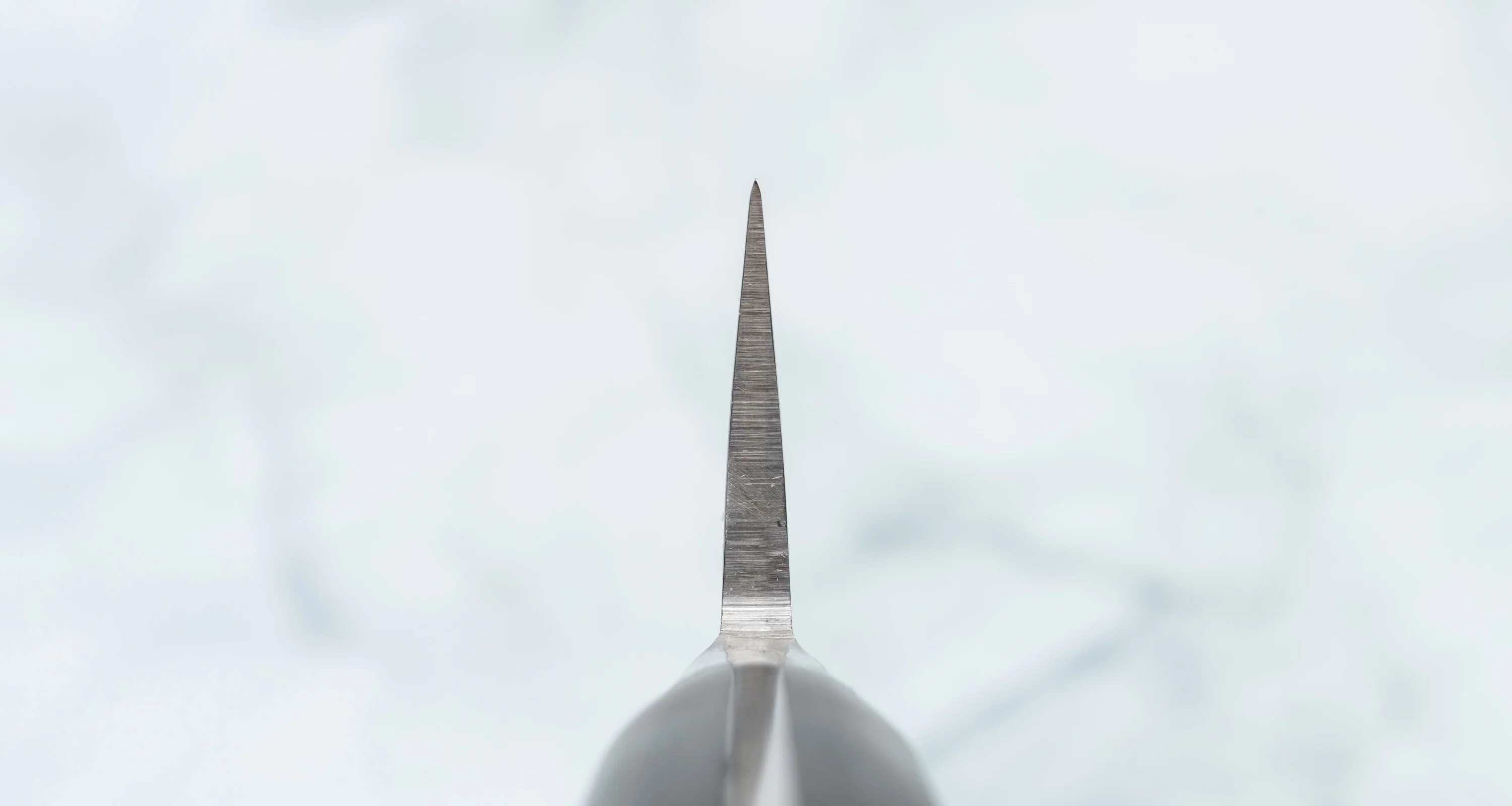 Tojiro DP Yo Deba 240mm (9.5") - Image 3