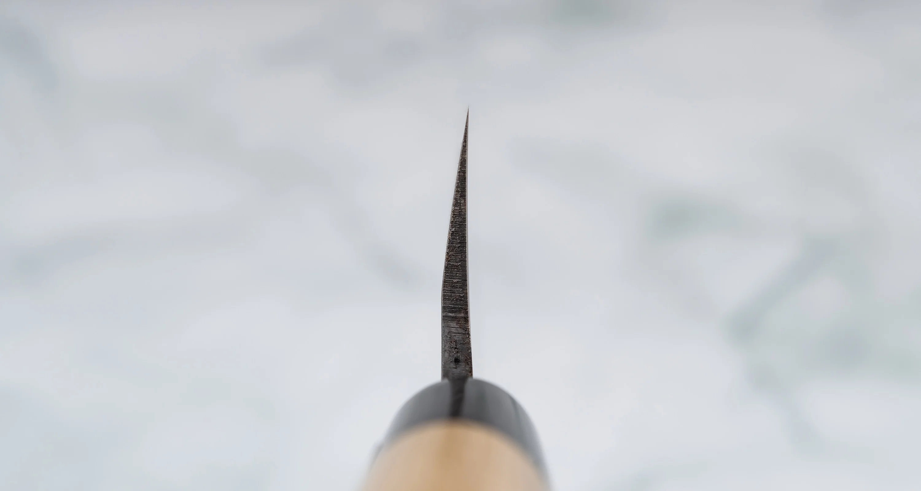 Tojiro Kakugata Usuba Shirogami #1 195mm (7.6") [Buffalo] - Image 3