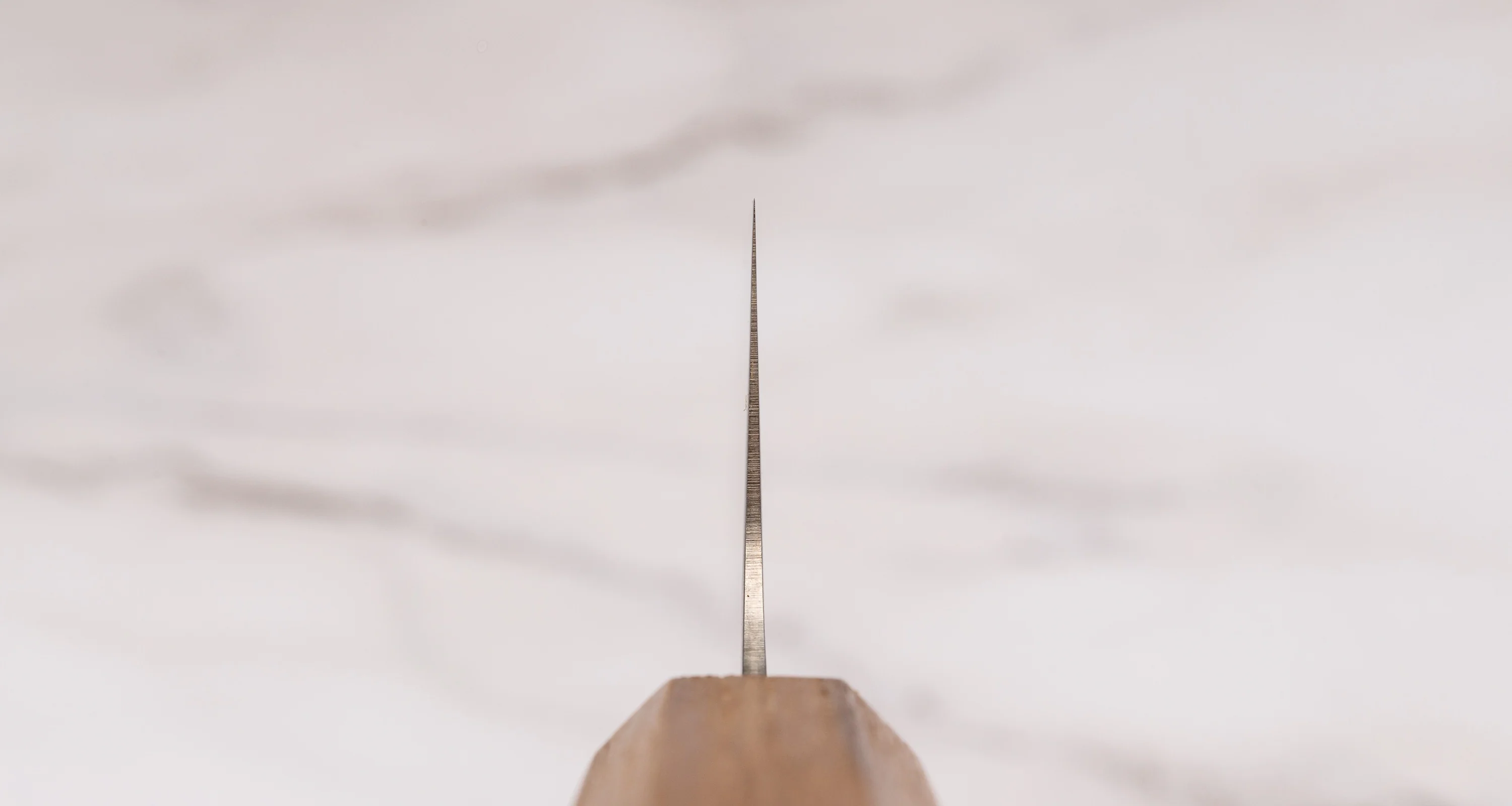 Tojiro Kiritsuke Gyuto Reppu SG2 210mm (8.3") - Image 3