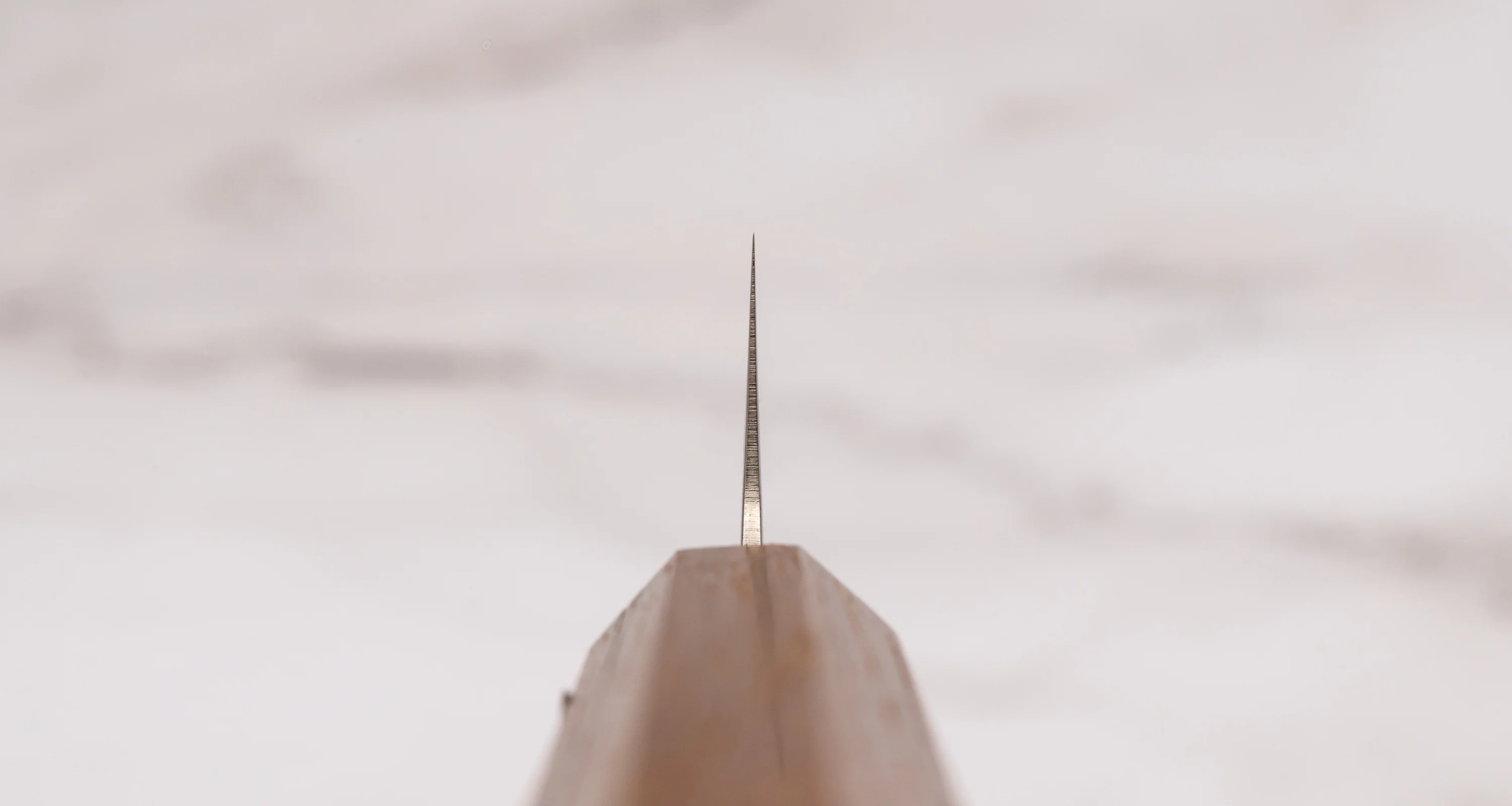 Tojiro Petty Reppu SG2 150mm (5.9") - Image 3