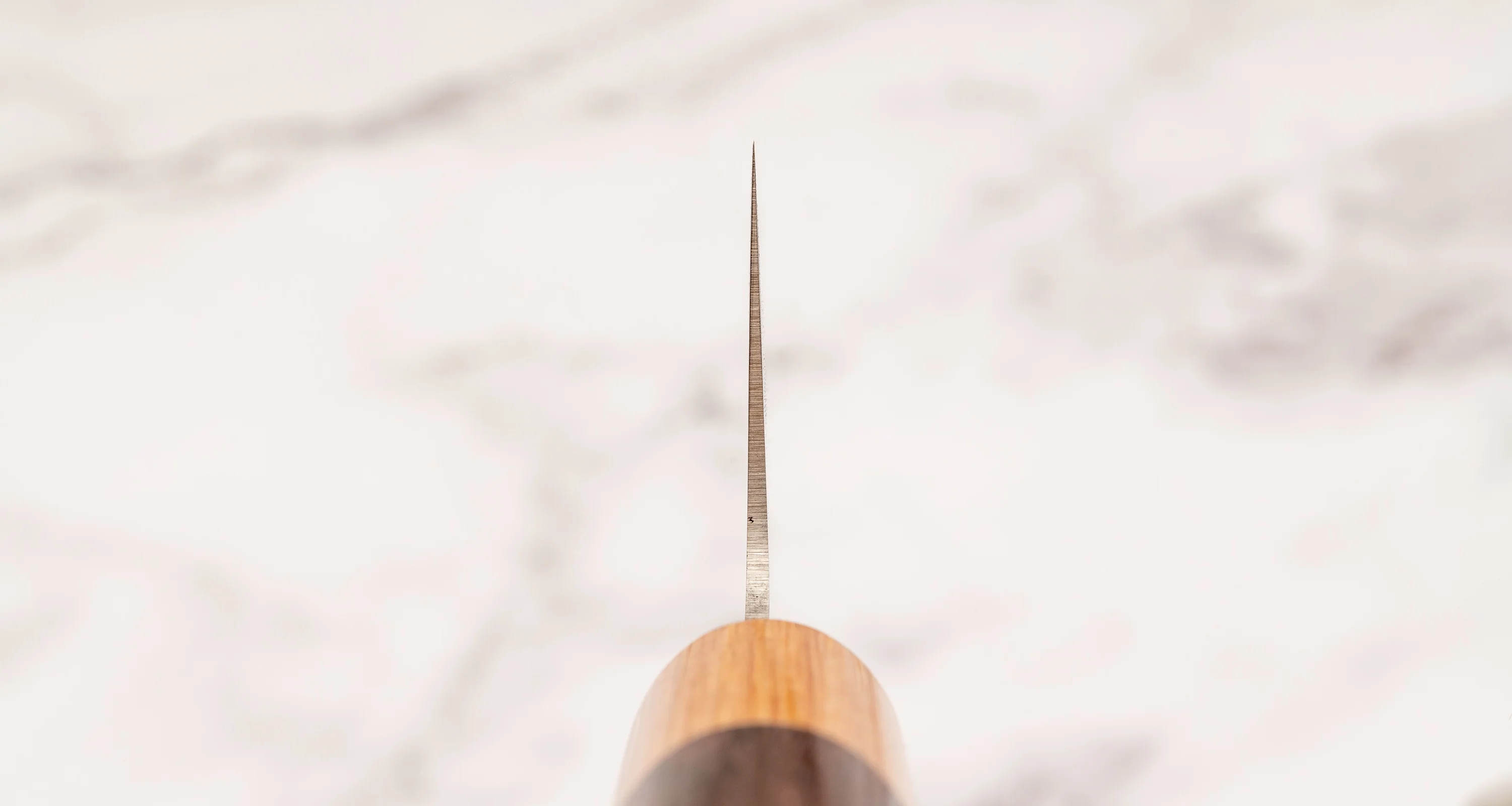 Tsunehisa Gyuto VG-1 270mm (10.6") [Rosewood-Cedar] - Image 3