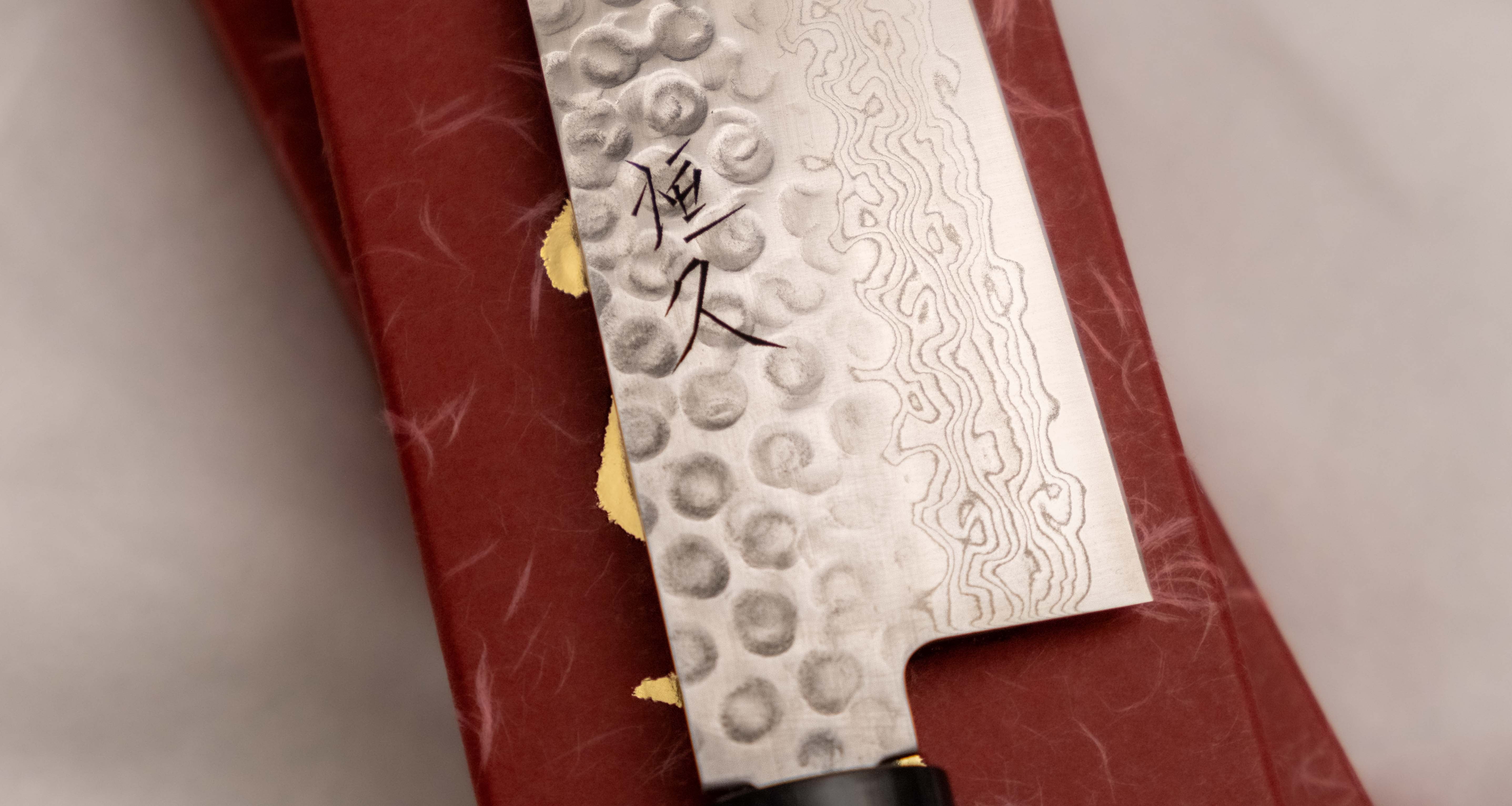 Tsunehisa Gyuto VG-10 Damascus Tsuchime 210mm (8.3") - Image 4