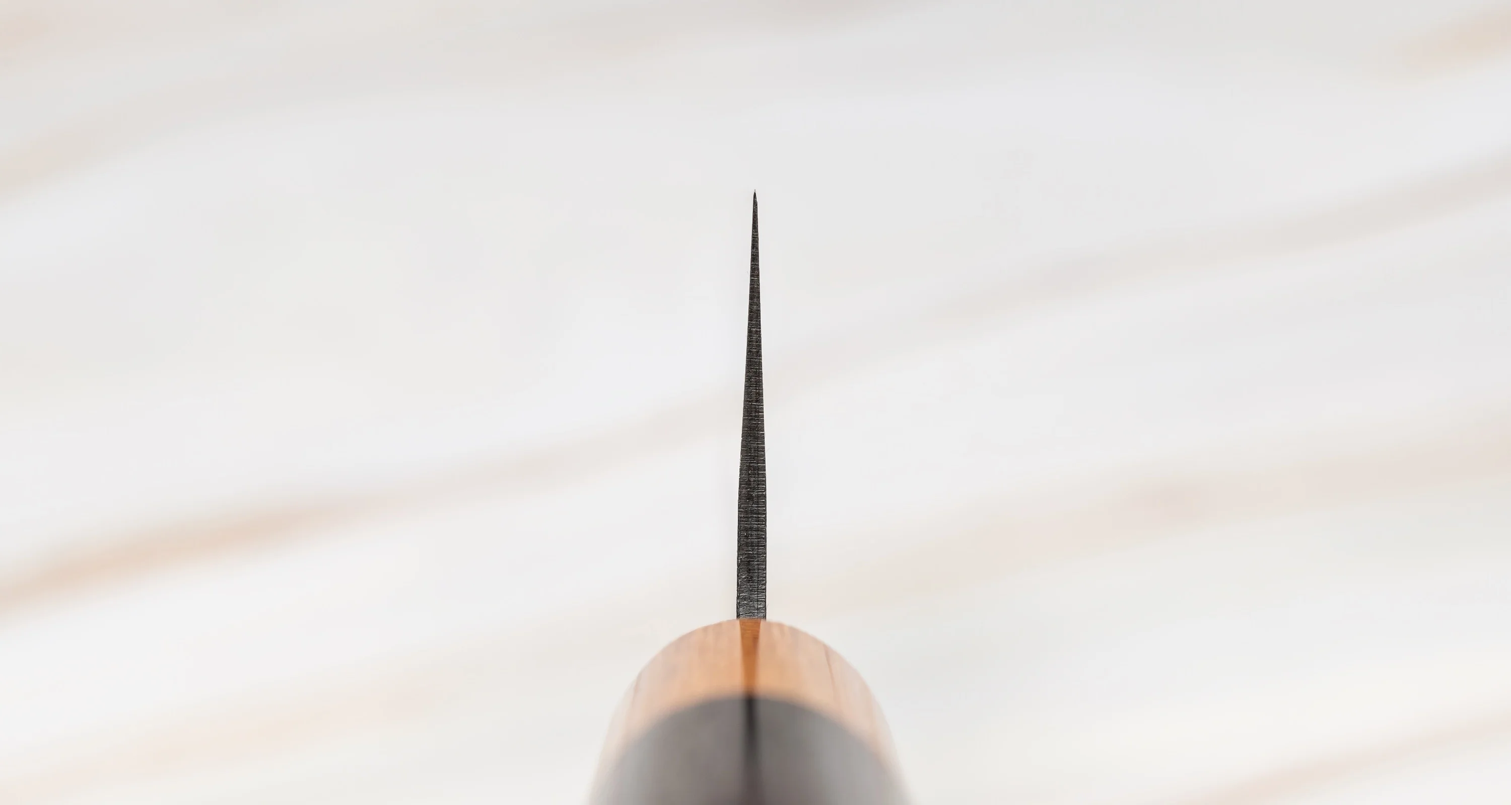 Tsunehisa Kiritsuke AS Kuro-uchi 240mm (9.4") [Rosewood] - Image 3