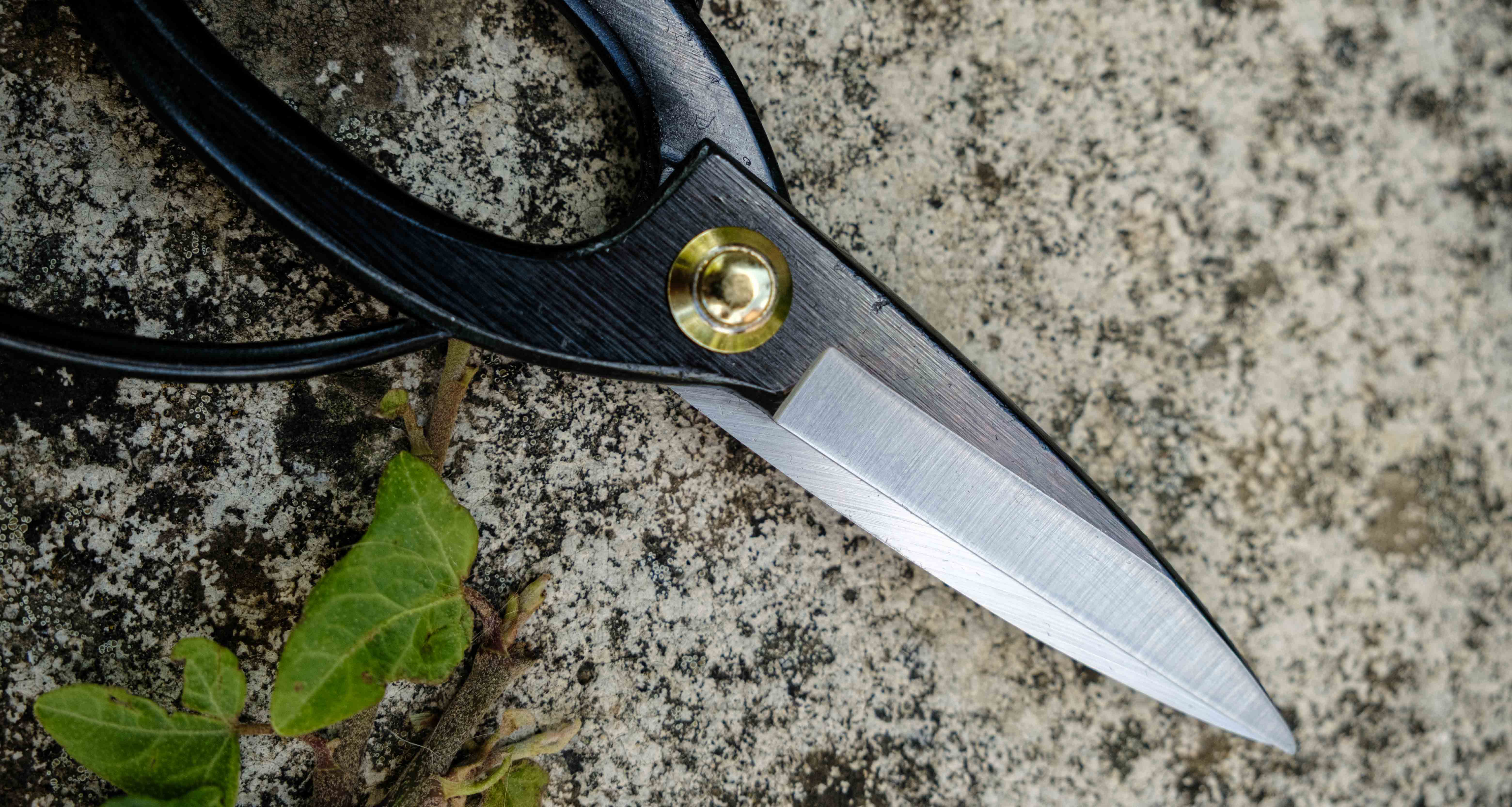 Tsurumaki Bairyu Long Blade Bonsai Okubo Scissors 200mm (7.9") - Image 4